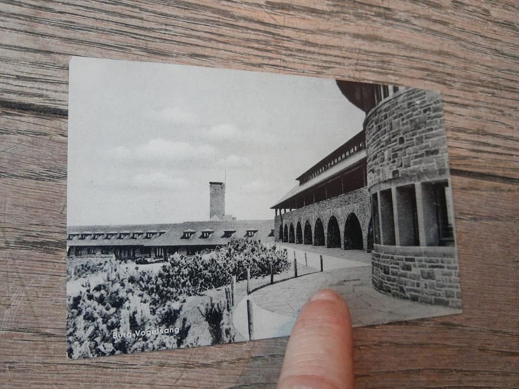 Oude pk, Burg Vogelsang, voormalig opleidingskamp NSDAP, Dui, Verzamelen, Ophalen of Verzenden