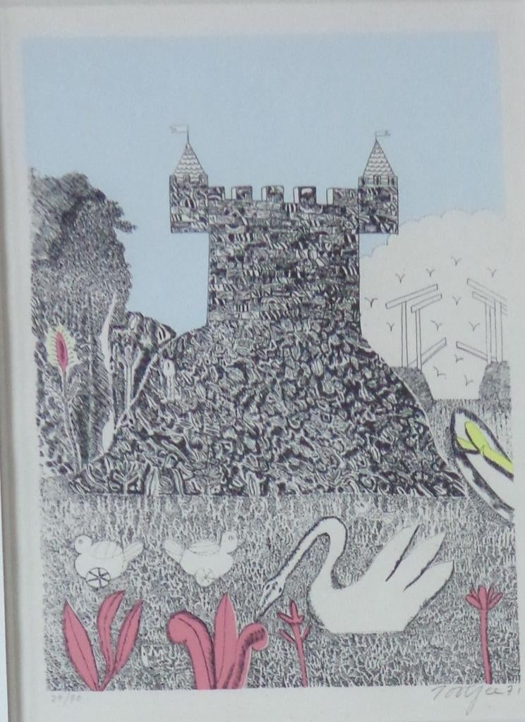 PJEROO ROOBJEE / KASTEEL ZWANEN / KLEURLITHO / 68x55cm KADER, Enlèvement ou Envoi