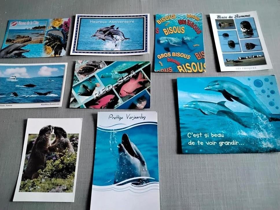 Lot van 20 ansichtkaarten "Diverse dieren" dolfijn, giraf..., Verzamelen, Postkaarten | Dieren, Ophalen of Verzenden, 1980 tot heden