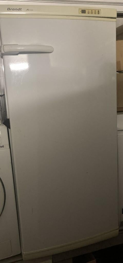 Vertikale diepvries, Elektronische apparatuur, Vriezers en Diepvrieskisten, Gebruikt, 140 tot 160 cm, Ophalen, Vrieskast