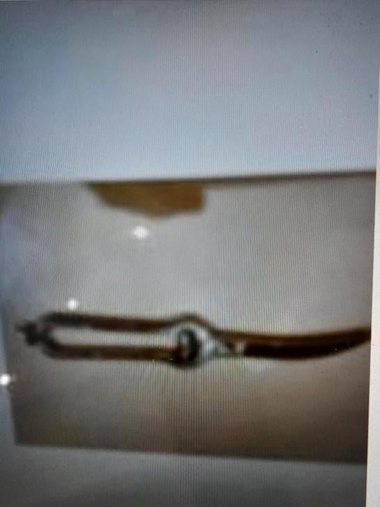 Sécateur/ciseaux à volaille en inox, Enlèvement ou Envoi, Utilisé, Inox ou Chrome