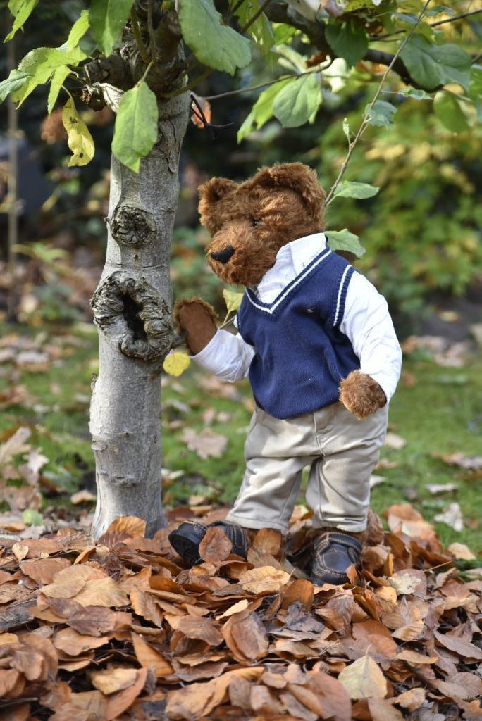 Teddybeer Blauwbeerd, Ophalen of Verzenden, Zo goed als nieuw, Stoffen beer, Overige merken