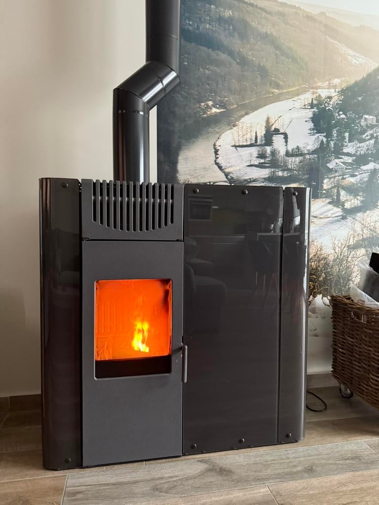 Combi pellet-houtkachel Edelkamin Demi, Ophalen, Houtkachel