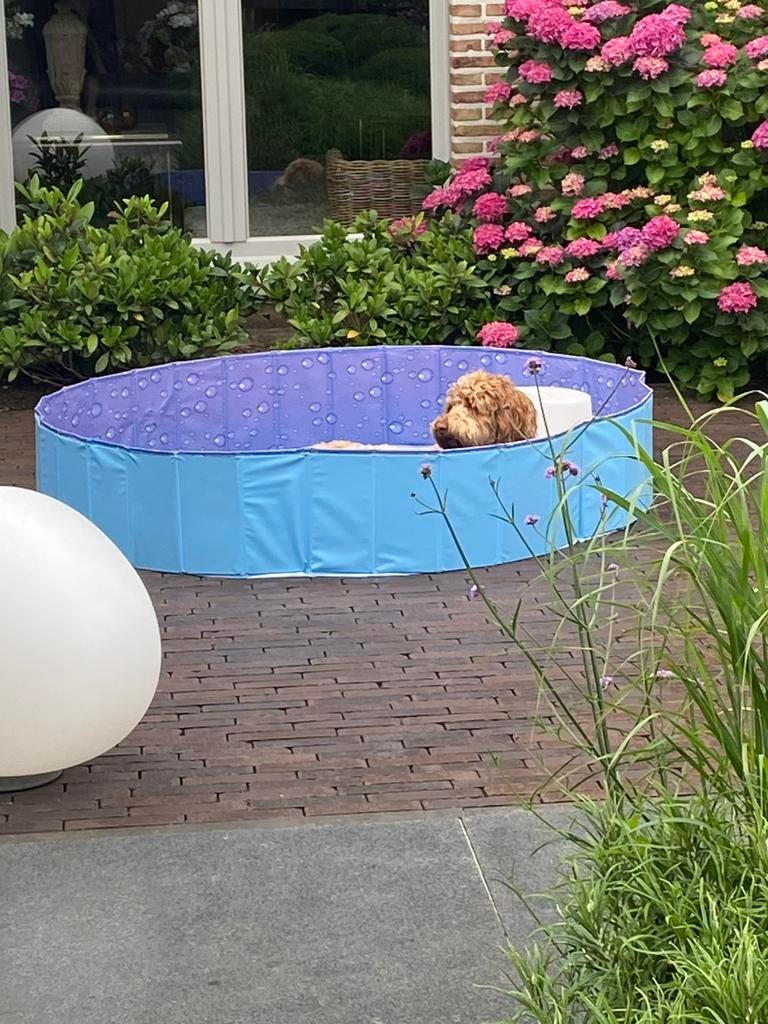 Bassin pour chien de 160 diamètres, Enlèvement, Comme neuf