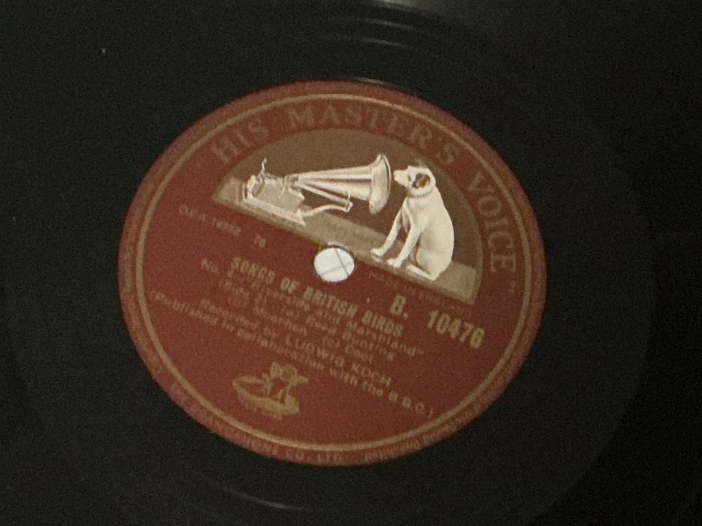 Finyl plaat his master’s voice, Ophalen of Verzenden, Zo goed als nieuw, Overige formaten