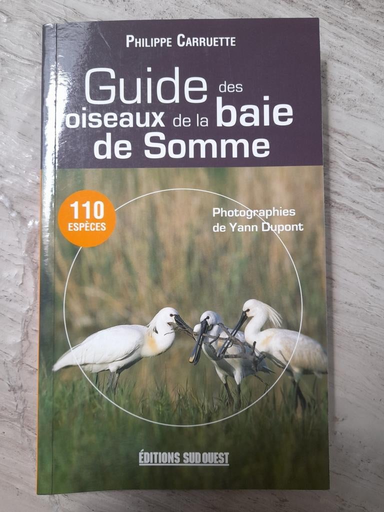 Vogelgids voor Somme Bay, Boeken, Natuur, Ophalen of Verzenden, Zo goed als nieuw, Vogels