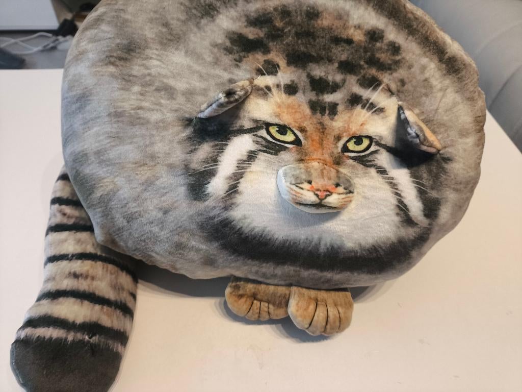 Kat Pop Kussen (40cm), Ophalen of Verzenden, Nieuw, Pop