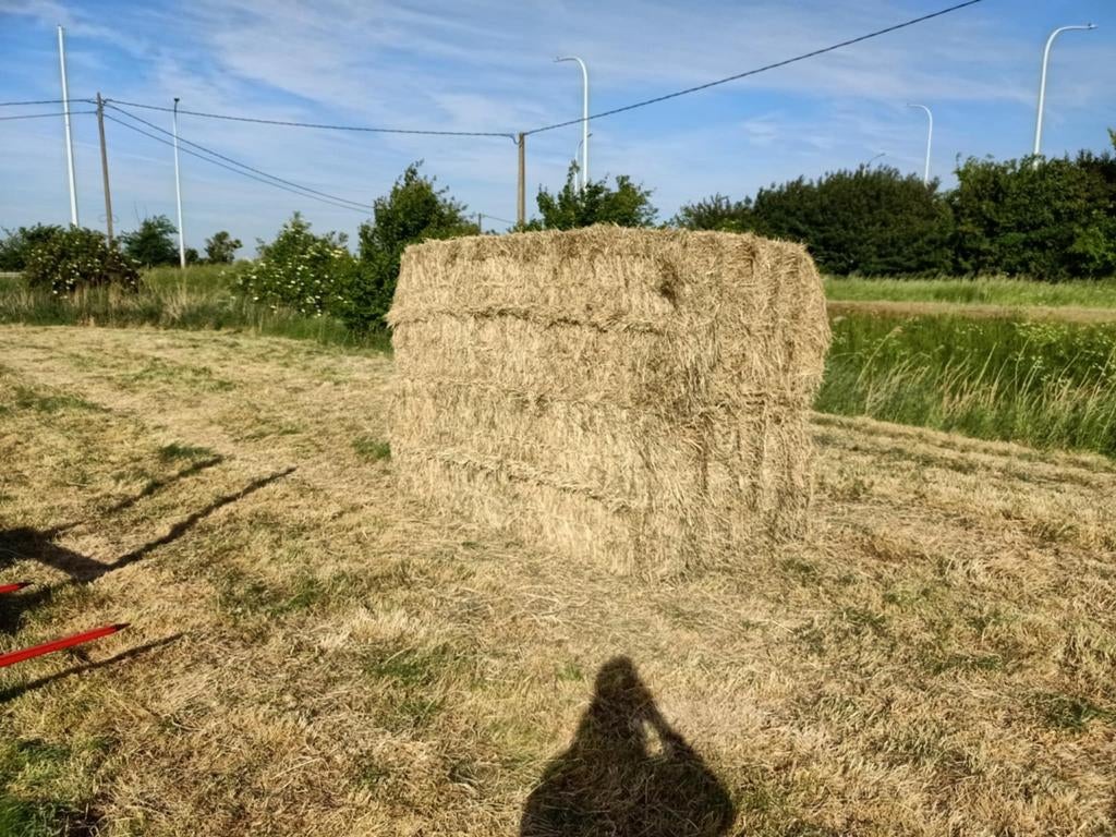 Grote Balen weide hooi, Ophalen of Verzenden