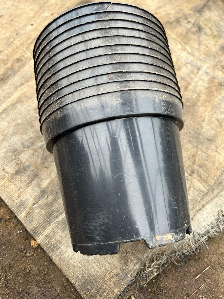 1000 stuks kweekpotten bloempotten 15 cm, Kunststof, Rond, Ophalen of Verzenden, Zo goed als nieuw