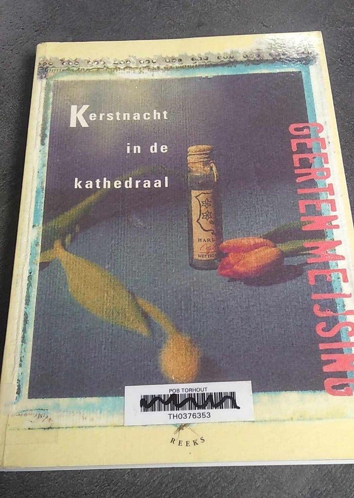 Kerstnacht in de kathedraal, Boeken, Ophalen of Verzenden, Geerten Meijsing