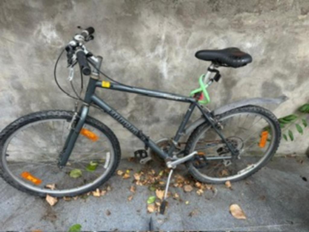 Ridgeback Omega - Shimano fiets, Fietsen en Brommers, Gebruikt, Versnellingen, 65 cm of meer, Ophalen