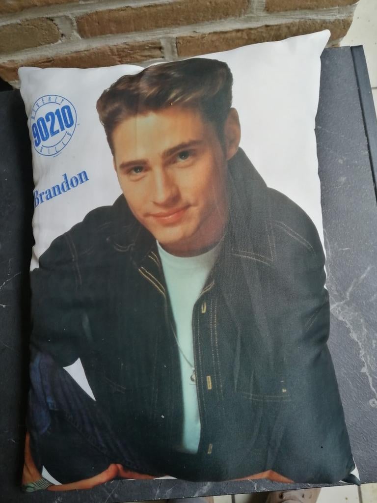 Kussen Beverly Hills 90210, Ophalen, Zo goed als nieuw