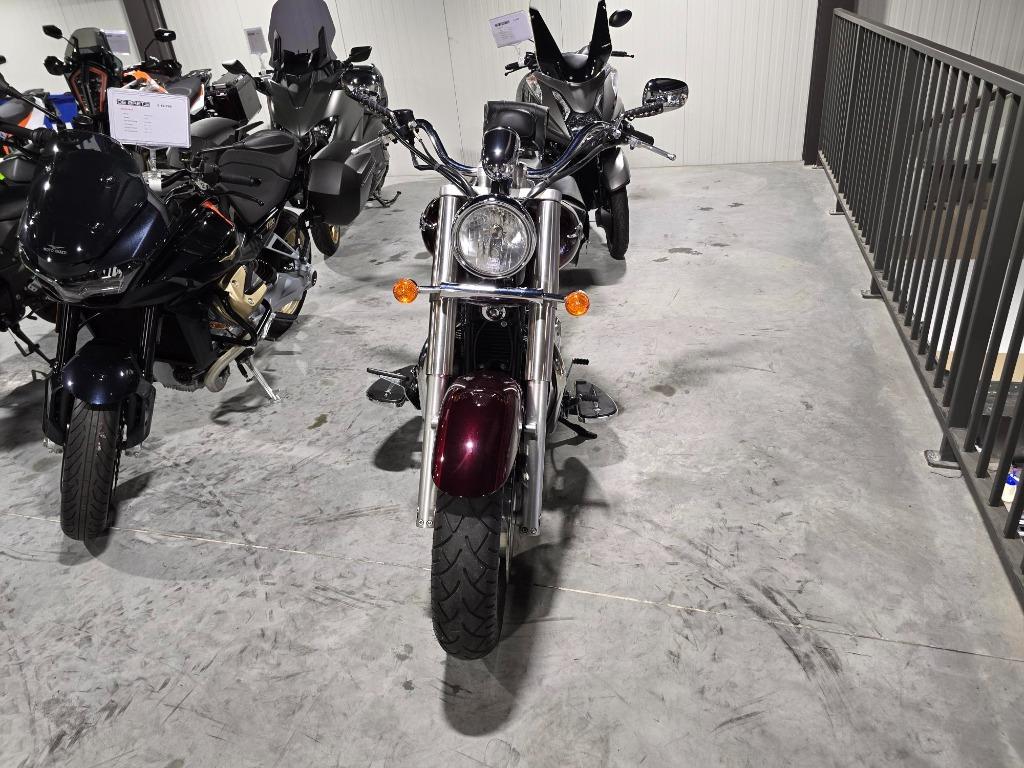 Triumph Bonneville America, Motoren, 2 cilinders, Motorrijbewijs A, Bedrijf, Meer dan 35 kW