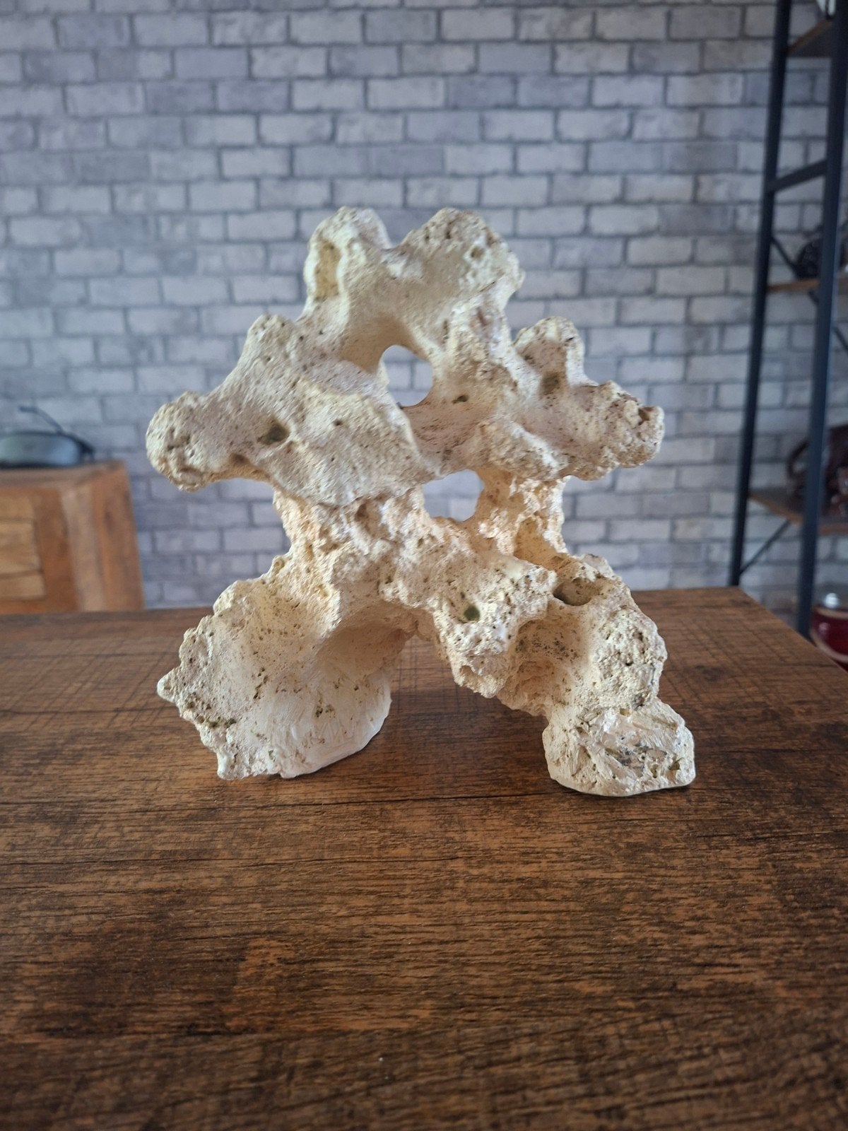 Aquarium rots, Dieren en Toebehoren, Ophalen of Verzenden, Nieuw, Plant(en), Steen of Hout