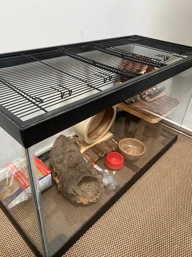 (onder optie) GROTE HAMSTERKOOI MET INRICHTING & BUITENKOOI, Dieren en Toebehoren, Kooi, Gebruikt, Muis, 75 tot 110 cm