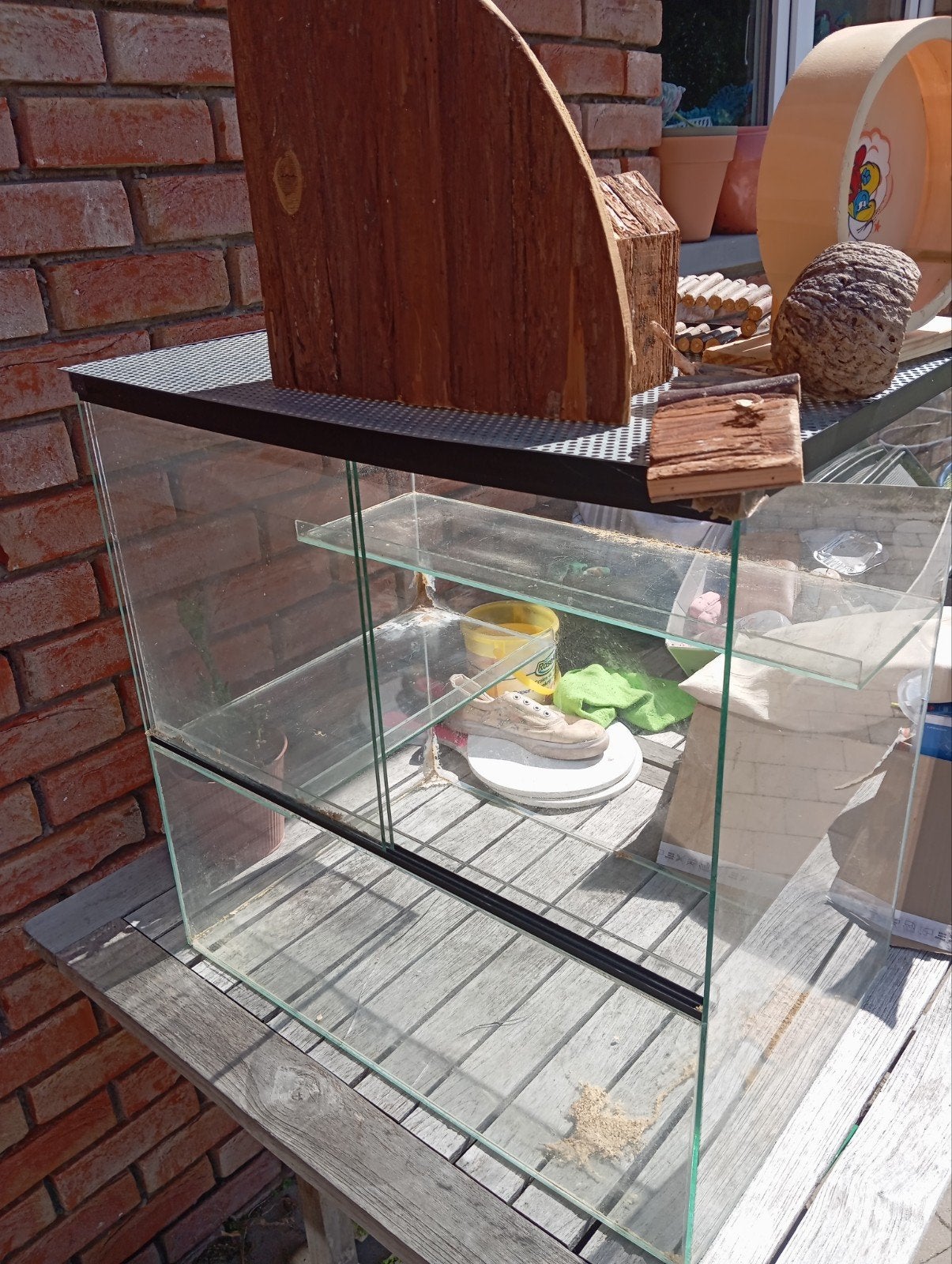 Terrarium hamster, Ophalen, Hamster