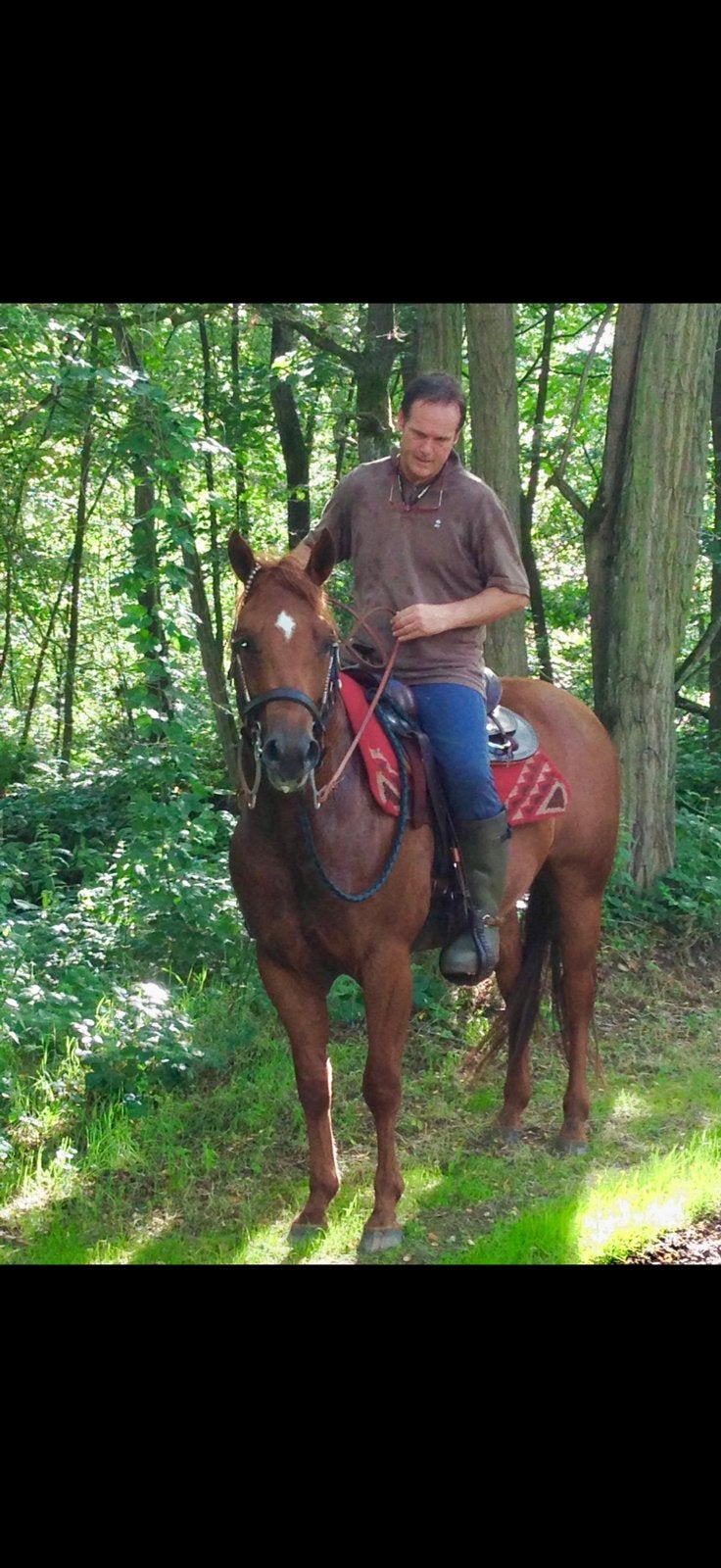 3 quarter ruinen zoeken goede thuis, Dieren en Toebehoren, Paarden, Ruin, Niet van toepassing, Minder dan 160 cm, Westernpaard