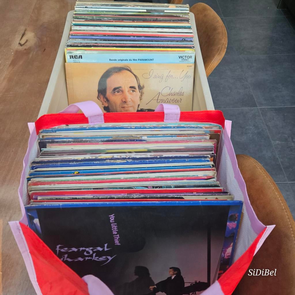 Meer dan 100 langspeelplaten en 40 singles., Cd's en Dvd's, Vinyl | Verzamelalbums, Ophalen
