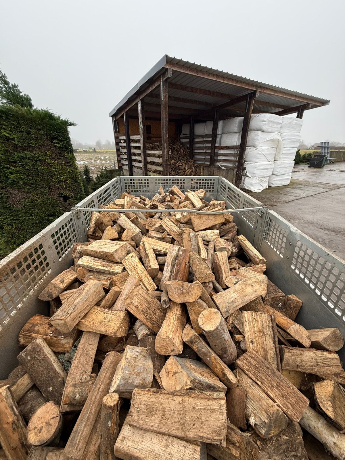 Droog brandhout eik en beuk, Tuin en Terras, Ophalen