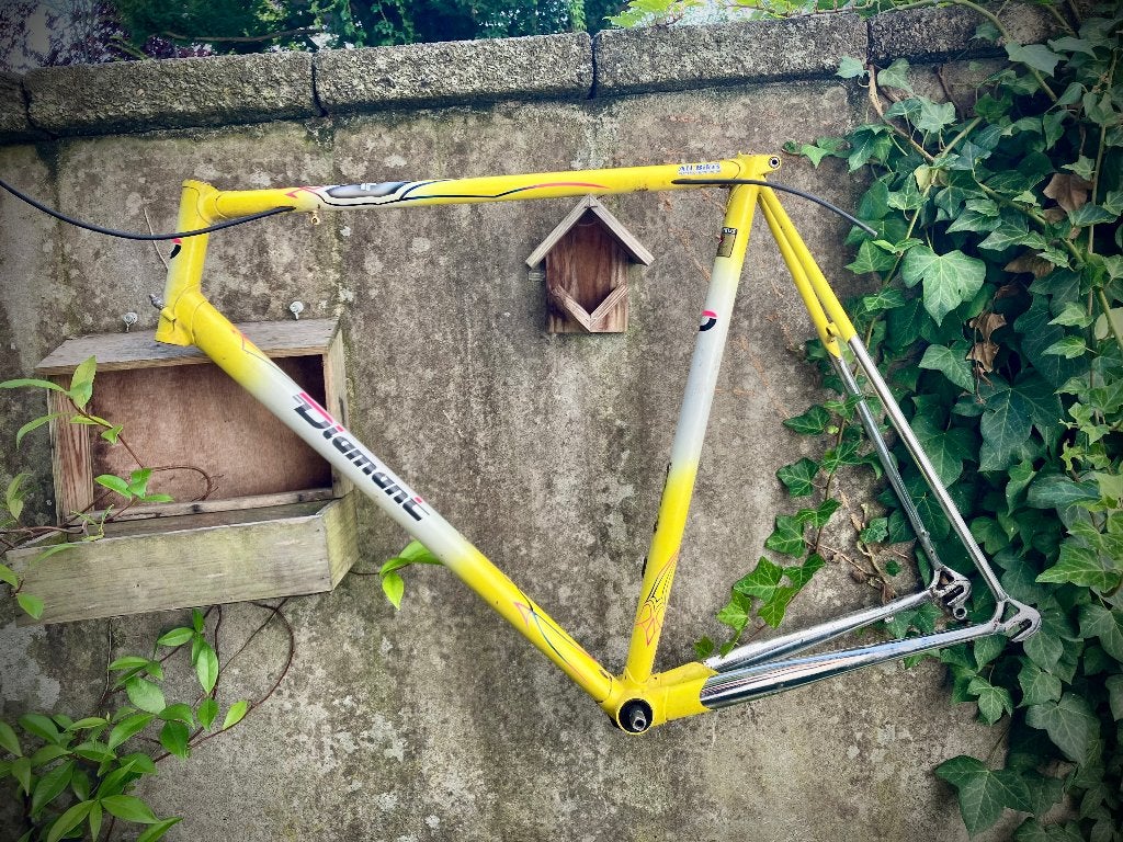 diamant columbus max frame, Ophalen