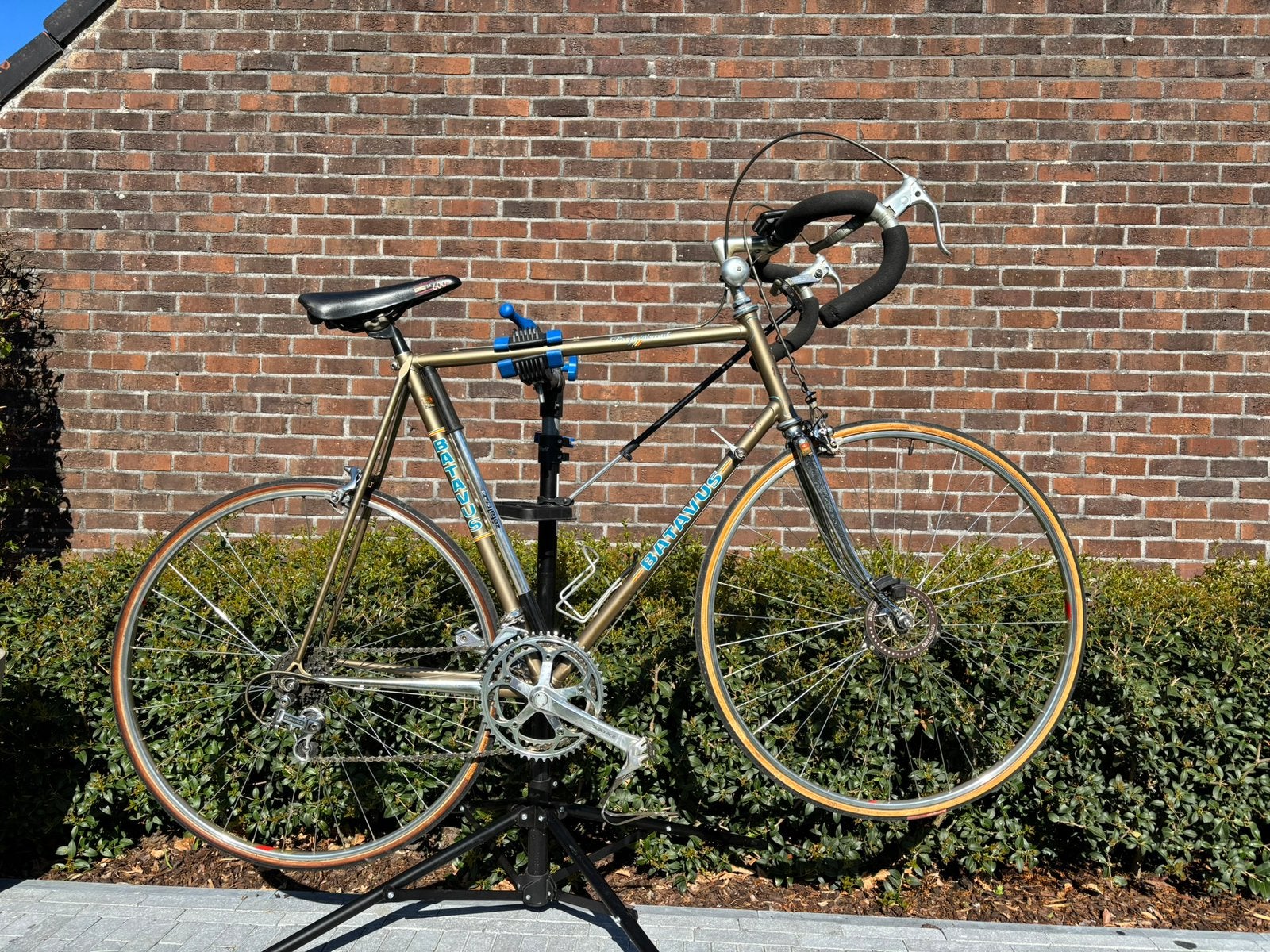 Batavus Professional, Ophalen, Zo goed als nieuw, Batavus