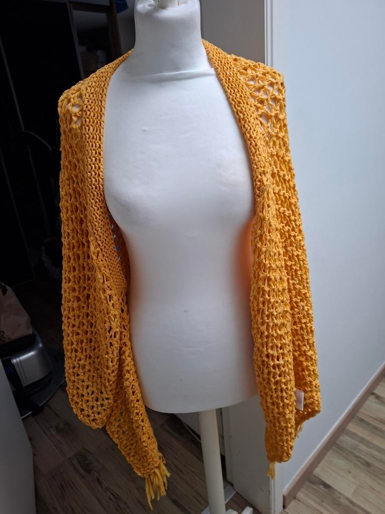 Speciale gilet/poncho, Enlèvement ou Envoi