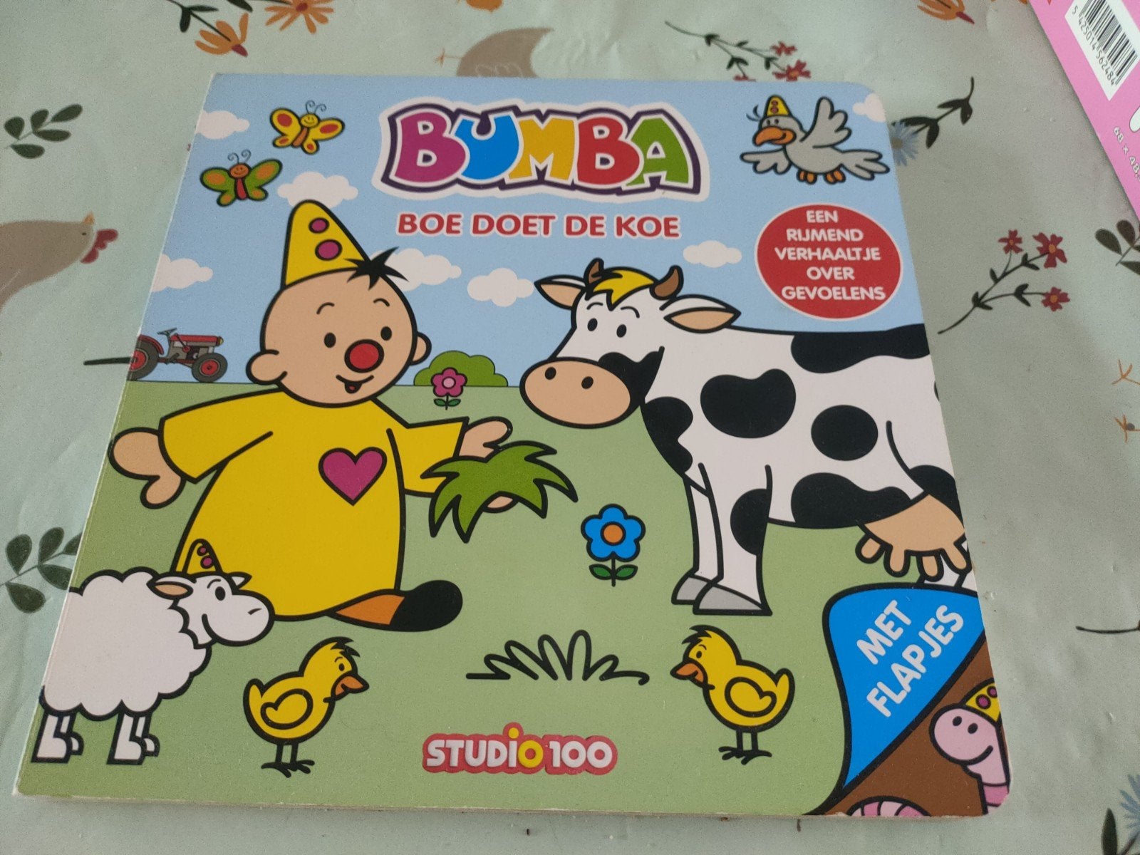 Bumba boekje, Ophalen, Zo goed als nieuw, 2 tot 4 jaar