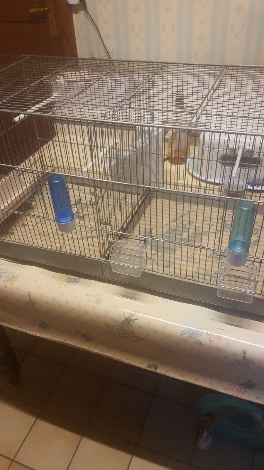 cage elevage, Ophalen