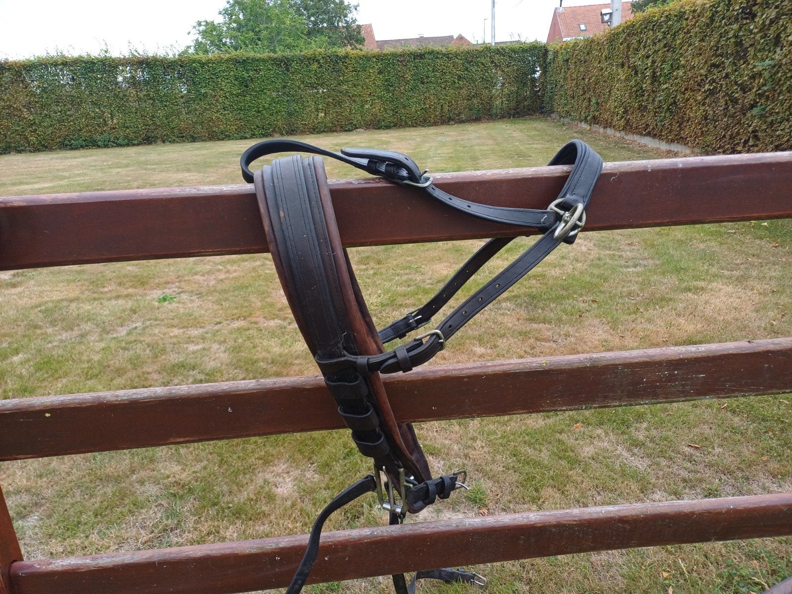 Dubbelspan getuig Vanderwiel., Dieren en Toebehoren, Ophalen, Gebruikt, Bit, Full