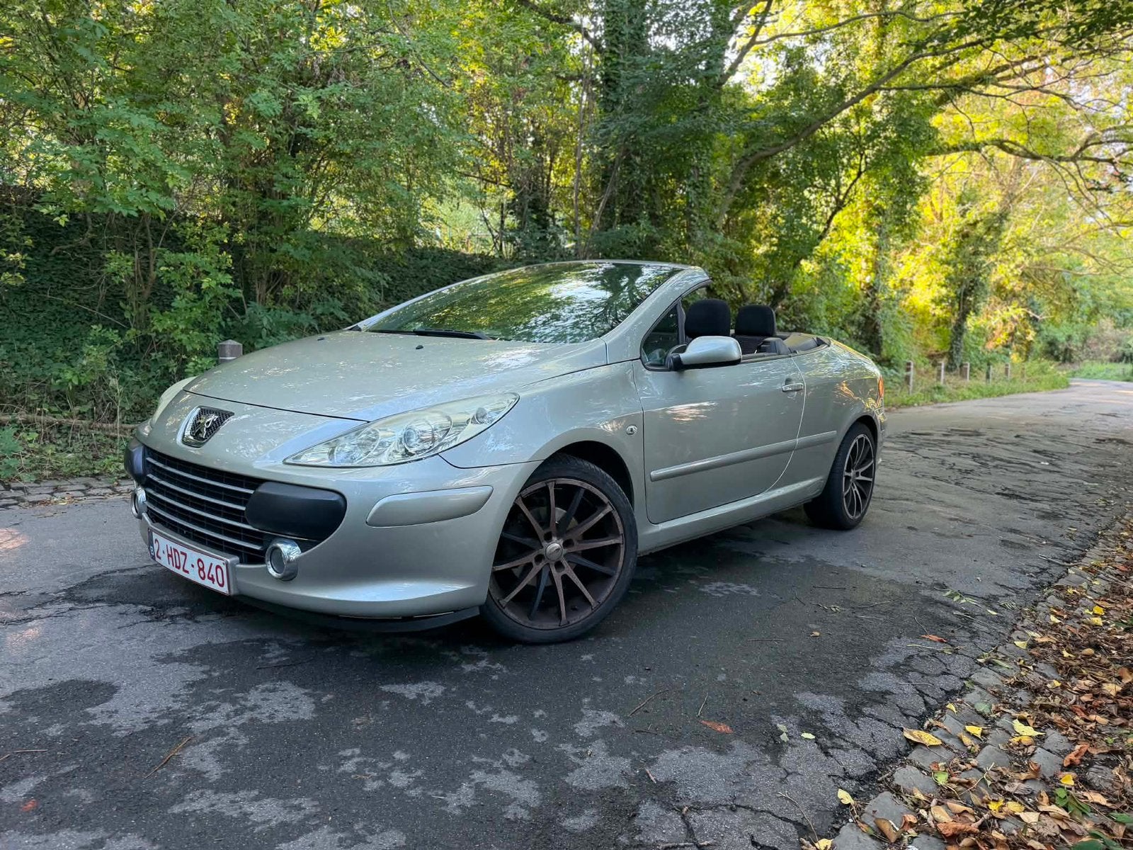 Peugeot 307 CC 1.6i, Bedrijf, Te koop, Benzine