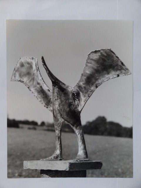 Reinhoud d'Haese, Vainglorious 1990, Verzenden, Brons, 1 meter - 2 meter, Beeld