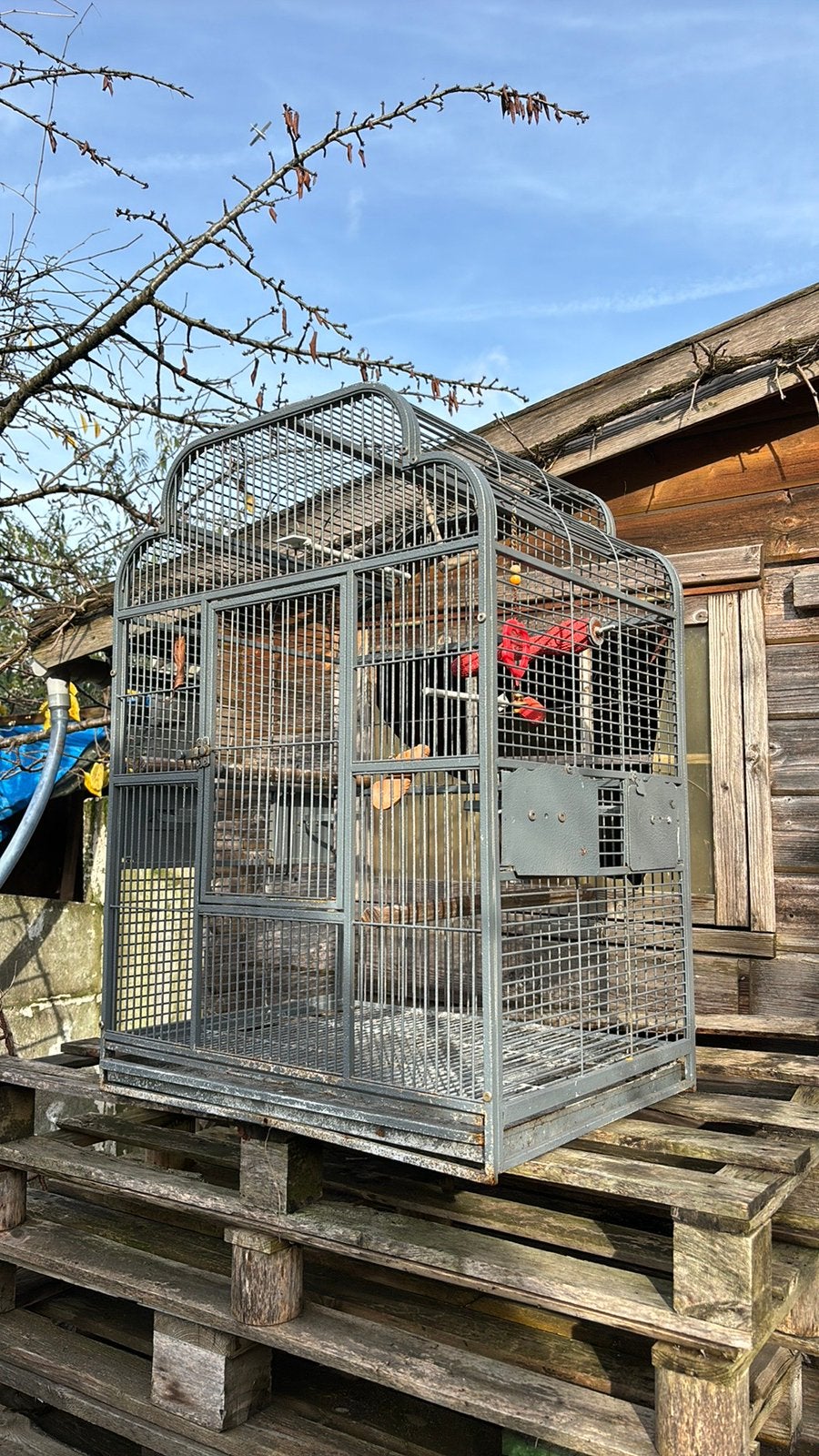 Cage, Enlèvement, Comme neuf