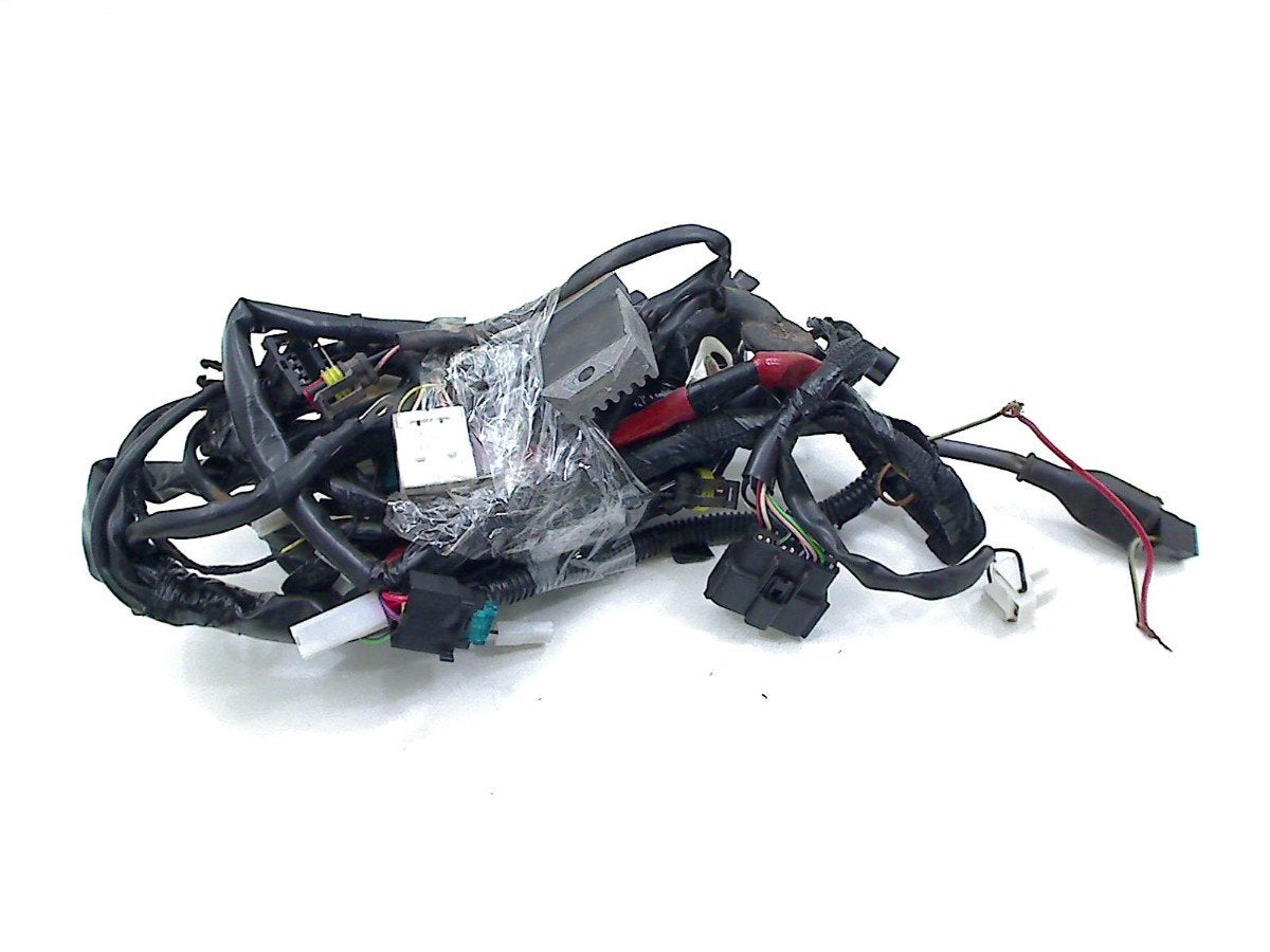 FAISCEAU DE CÂBLAGE DIVERS Piaggio (1D001566), Piaggio, P.J. Troelstraweg 8 8
3144 CX  MAASSLUIS, NL, Info@cama-motorparts.nl