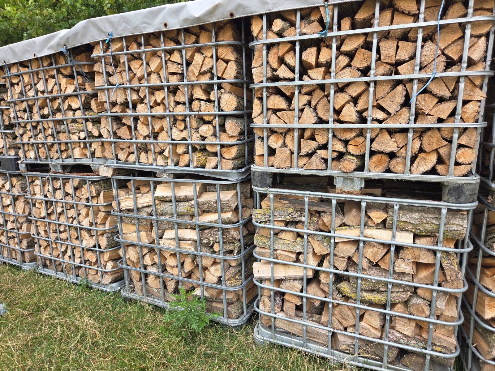 Droog brandhout wilg en populier, Enlèvement ou Envoi, Bûches