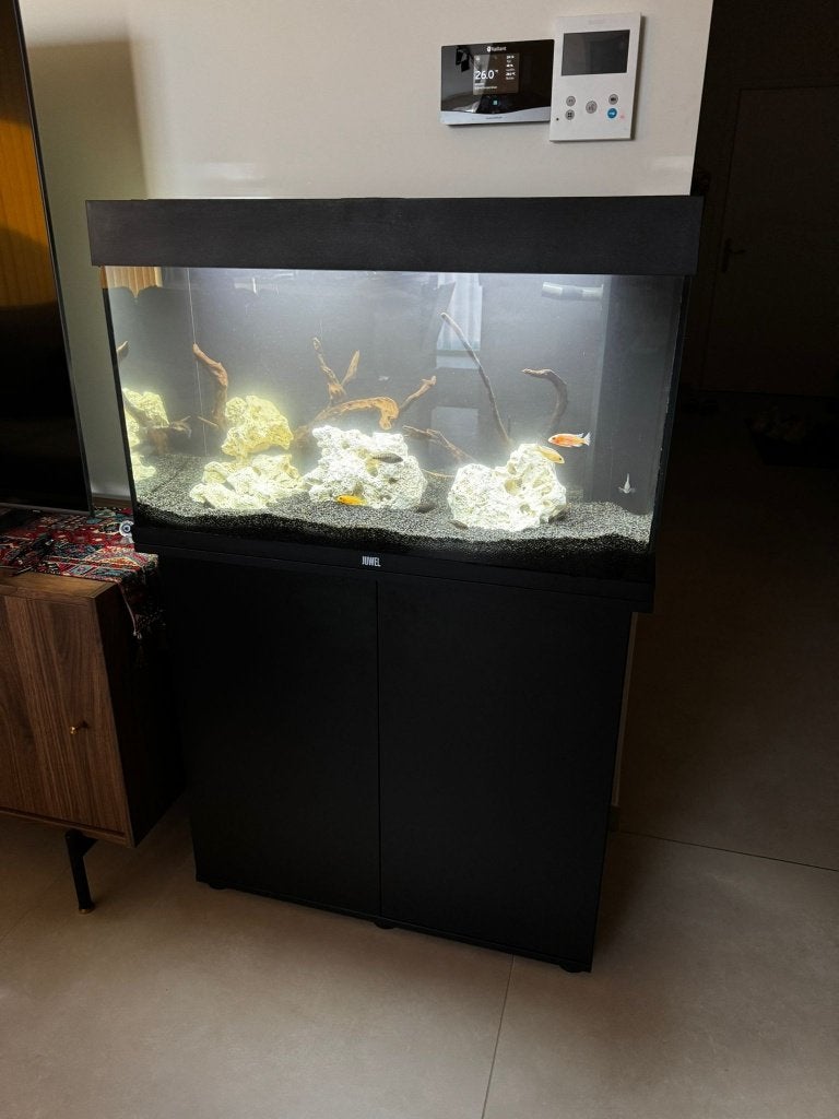 Juwel rio 125l aquarium + bijhorende meubel, Dieren en Toebehoren, Ophalen, Nieuw, Verwarming, Leeg aquarium