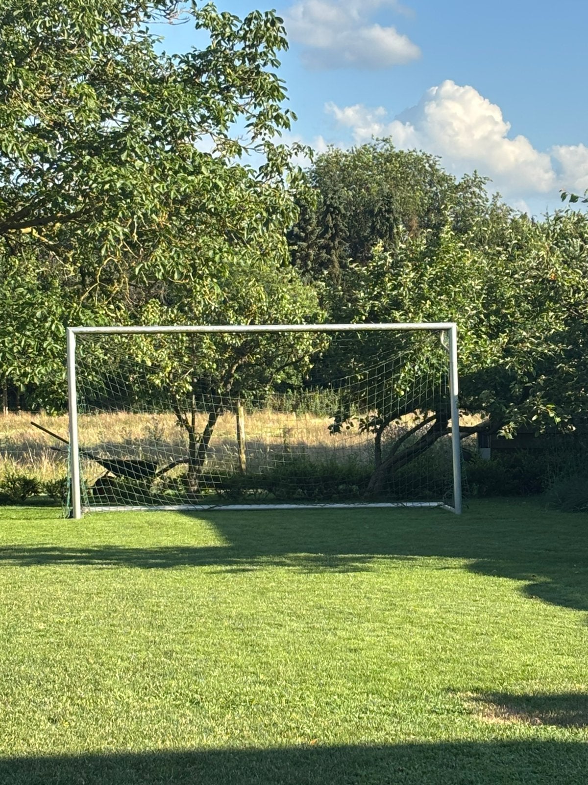 Goal 4x2m, Ophalen, Zo goed als nieuw