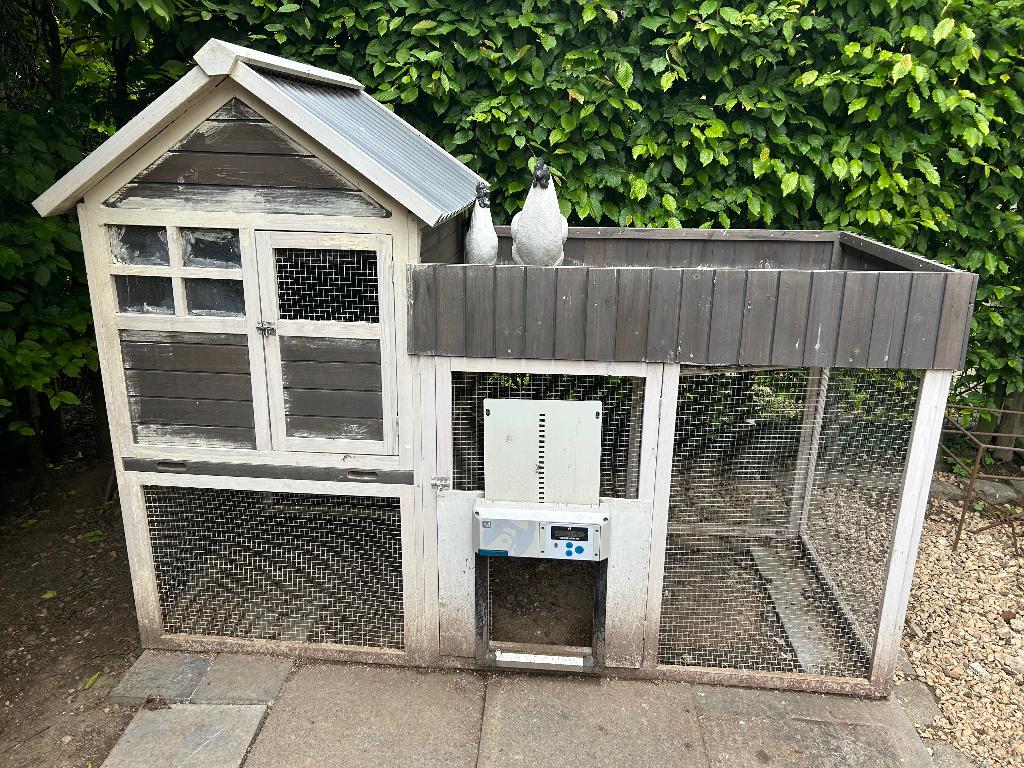 Kippenhok van 1 jaar oud met chickenguard, Dieren en Toebehoren, Ophalen, Gebruikt, Kippenhok of Kippenren