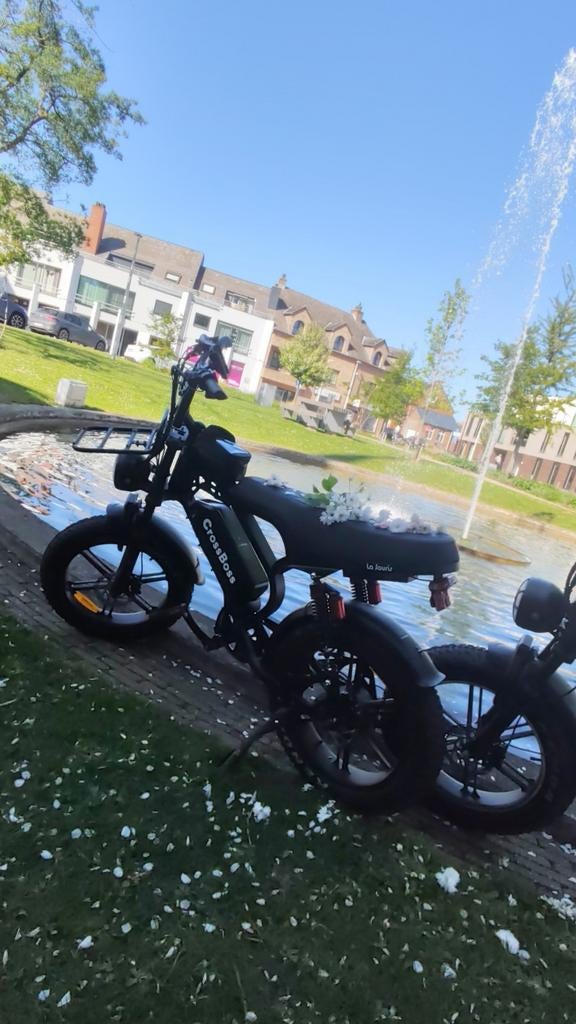 V20 limited edition, Fietsen en Brommers, Ophalen