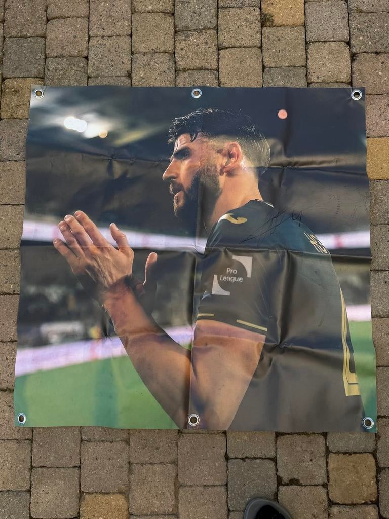Gesigneerde Wesley Hoedt Banner, Verzamelen, Ophalen of Verzenden