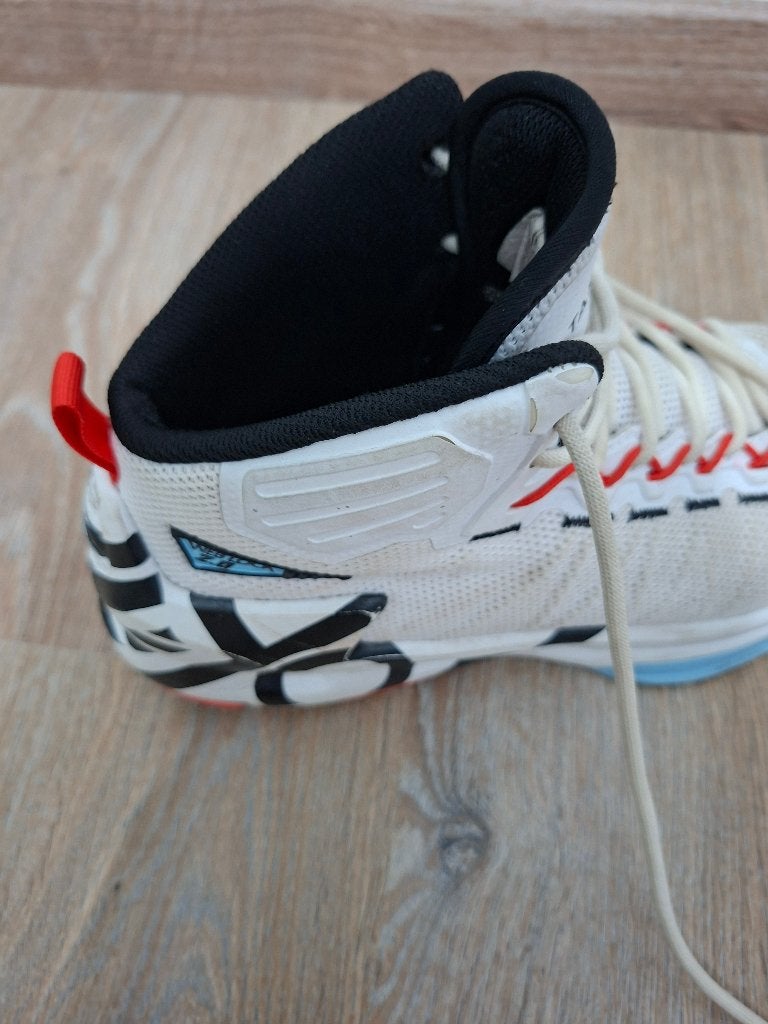 Basketbalschoen maat 41, Sport en Fitness, Ophalen, Gebruikt, Schoenen
