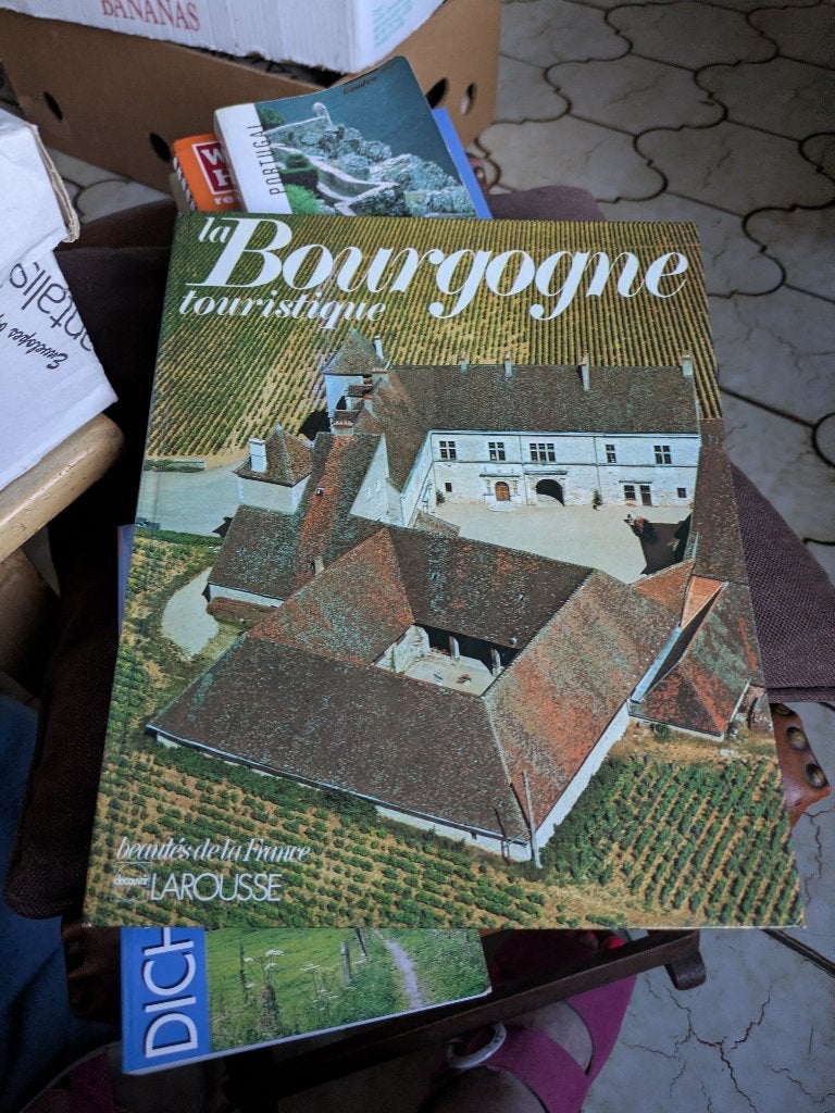 La Bourgogne touristique, Boeken, Reisgidsen, Ophalen of Verzenden, Zo goed als nieuw, Reisgids of -boek