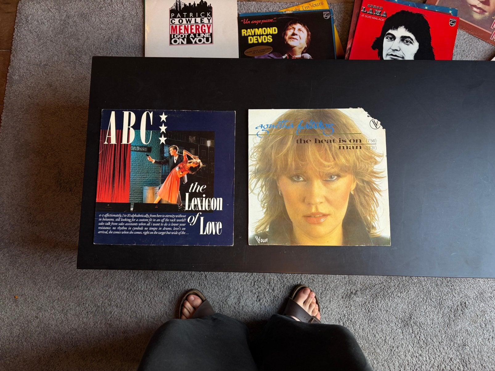 Albums en vinyle, Enlèvement, Utilisé