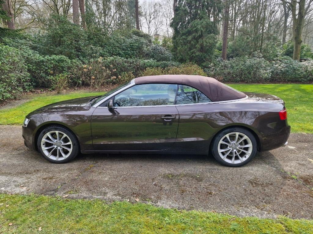 auto, Autos, Audi, Cuir, Euro 5, Achat, Beige