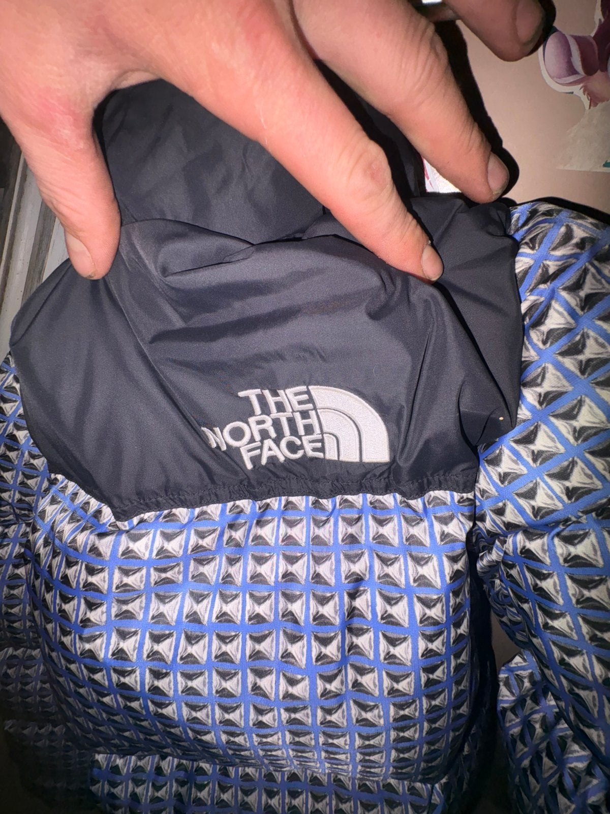 Supreme x the north face puffer jacket, Kleding | Dames, Ophalen, Gedragen, Overige typen