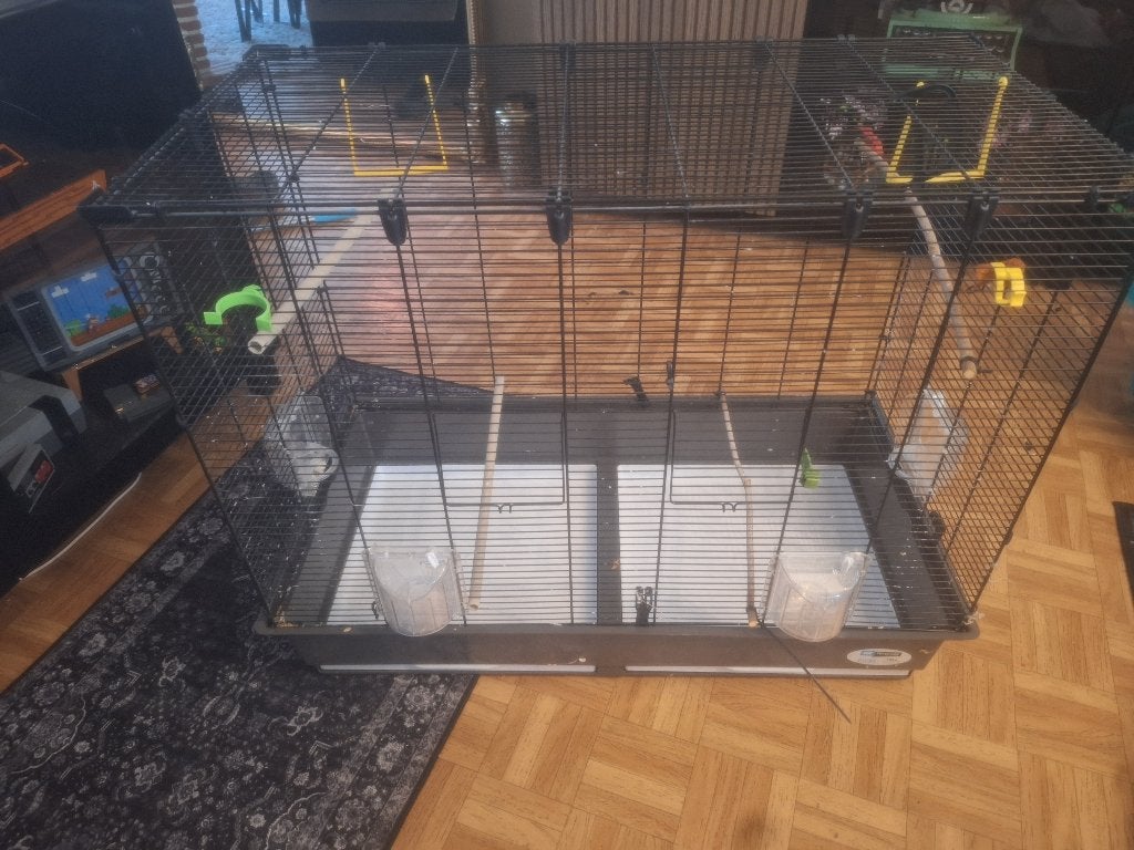 Vogelkooi, Ophalen, Zo goed als nieuw, Metaal, Vogelkooi