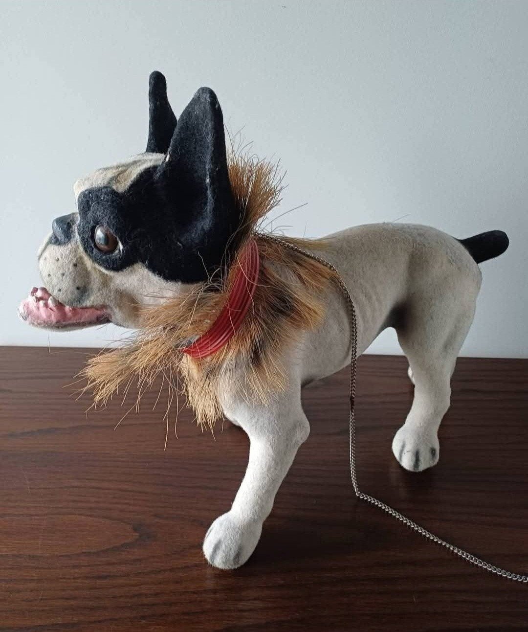 Oude blaffende Hond op wieltjes, Ophalen