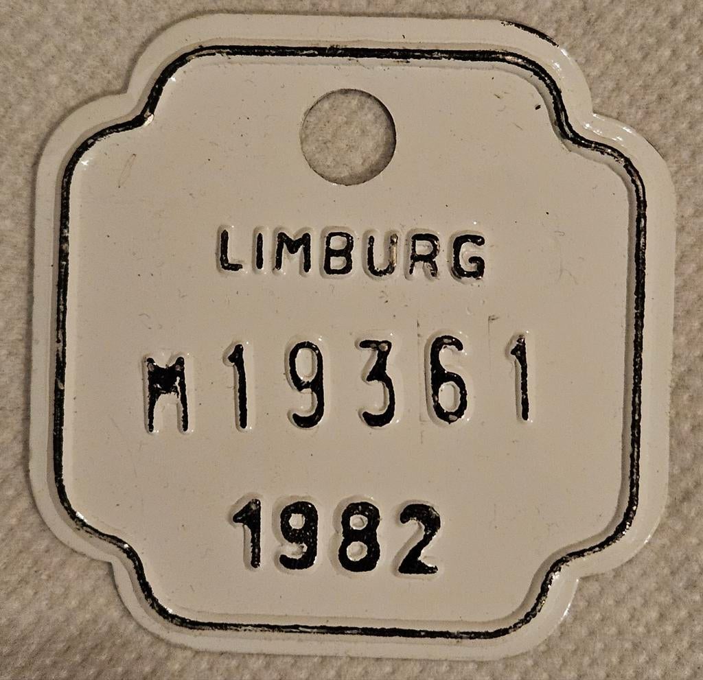 Plaque de vélo Limburg 1982 M19361
C'est un Be, Enlèvement ou Envoi