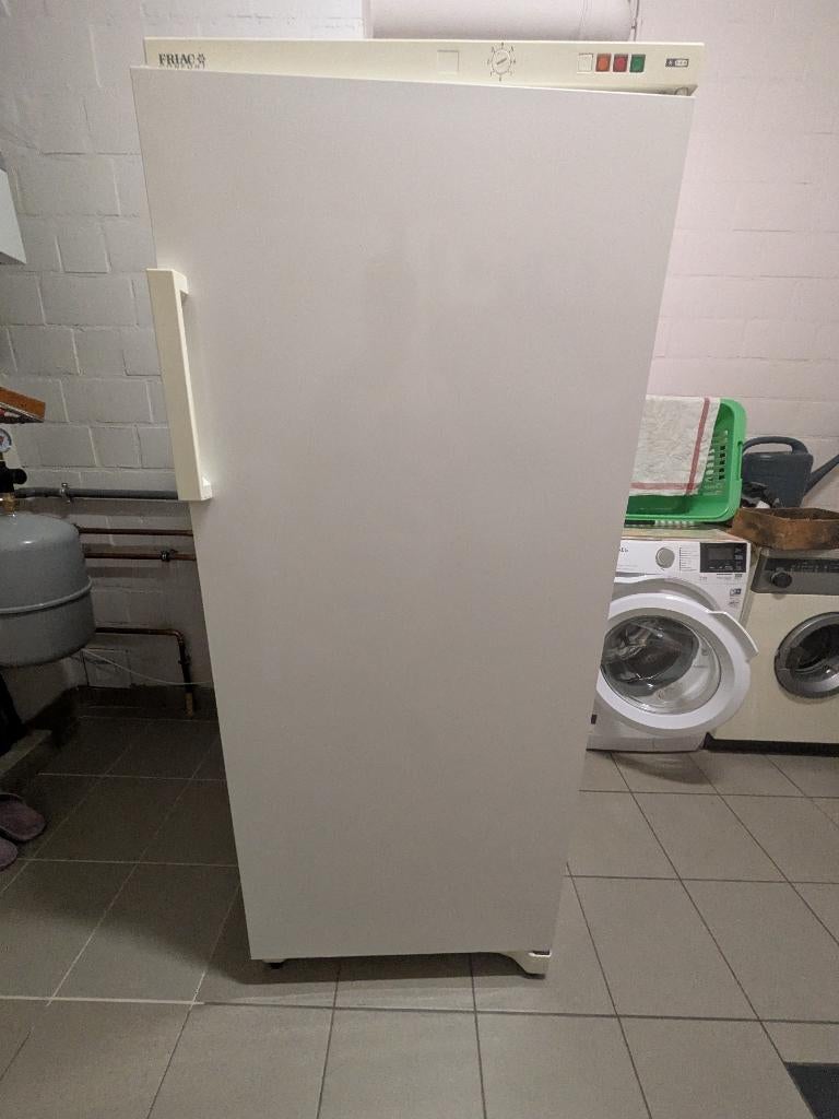 Diepvries Friac FRUE 2900 - 250L, Congélateur, 160 cm ou plus, Enlèvement, Utilisé