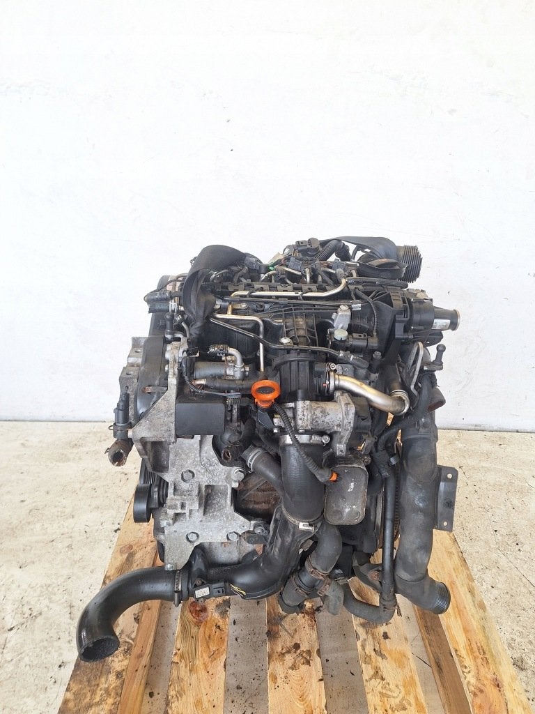 Moteur CAYD Complet CADDY POLO JETTA GOLF VW, Autos : Pièces & Accessoires, Moteurs & Accessoires, Alfa Romeo, Pièces américaines
