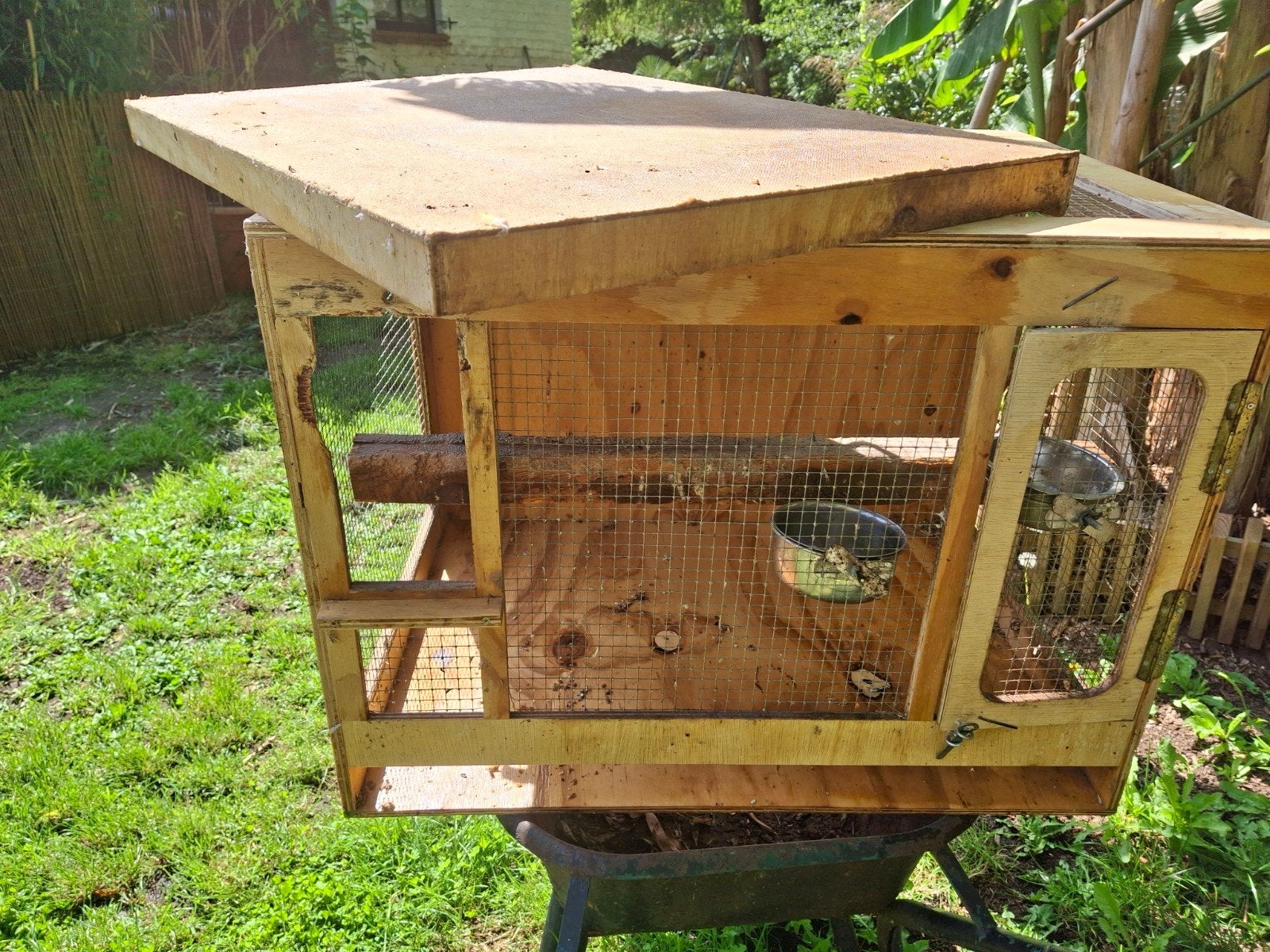 Kweekkooi, Dieren en Toebehoren